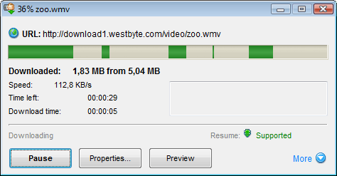 File downloading information window